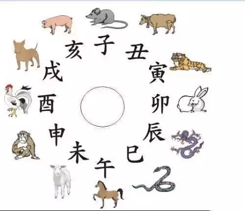 2、屬豬的三合和六個合生肖是什麼:屬豬的和什麼屬相最配