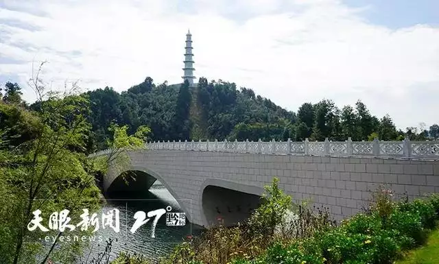 同治戊寅年是哪一年