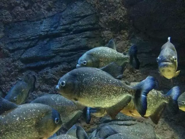 022年水虎命取名字，2022虎宝宝起名字"