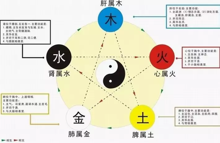 五行金代表什么