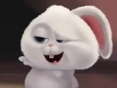 属狗人生于九月命运如何，提升运气的五种 