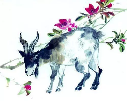 3、91年屬羊女**婚配屬相:年屬羊的**配偶