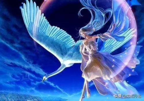 3、白羊座女生运势:白羊座运势，幸运方向