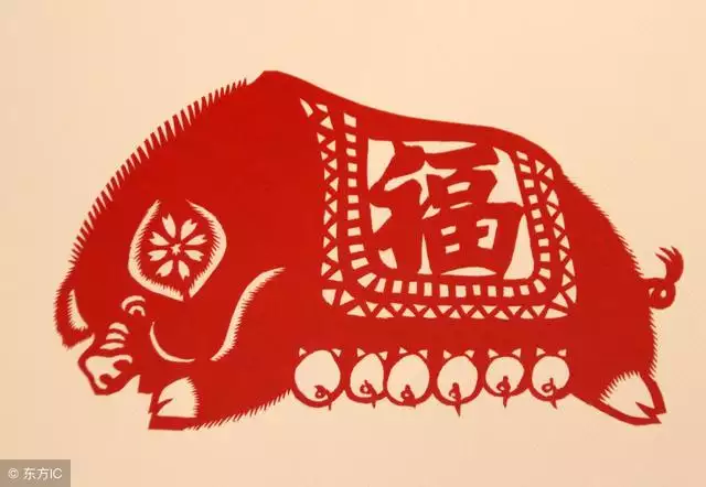 屬豬和屬狗的合不合財，屬狗和屬豬的合財嗎