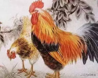 歷史上屬羊和屬鼠有好姻緣的，男屬鼠女屬羊誰克誰