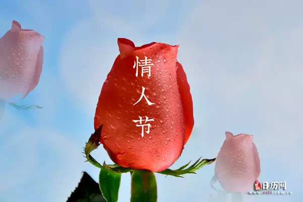 1、年十月最吉利的结婚日子:年结婚的好日子有哪些?