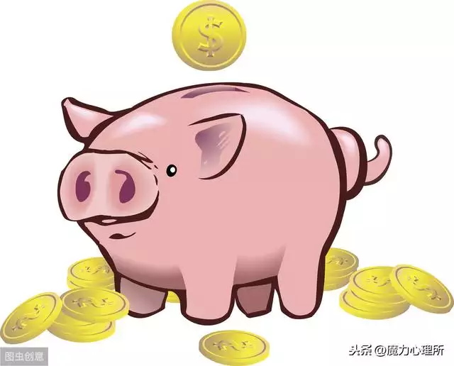 屬豬婚姻配對更佳，最適合屬豬的生肖