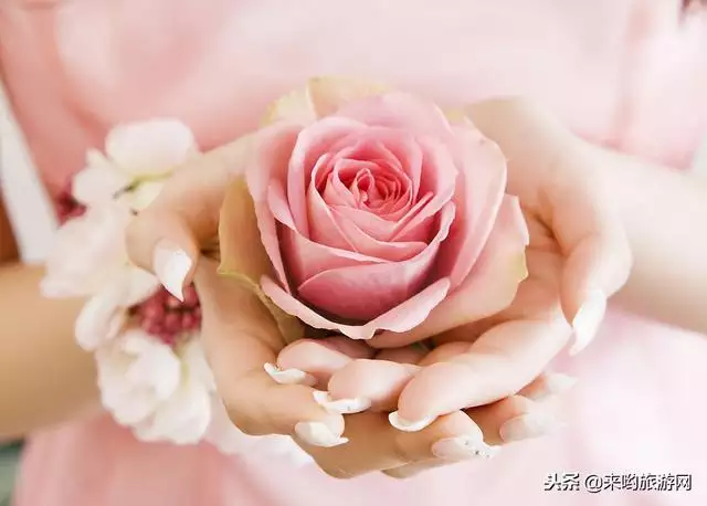 婚姻更佳的生肖配對圖，十二生肖婚姻配對大全