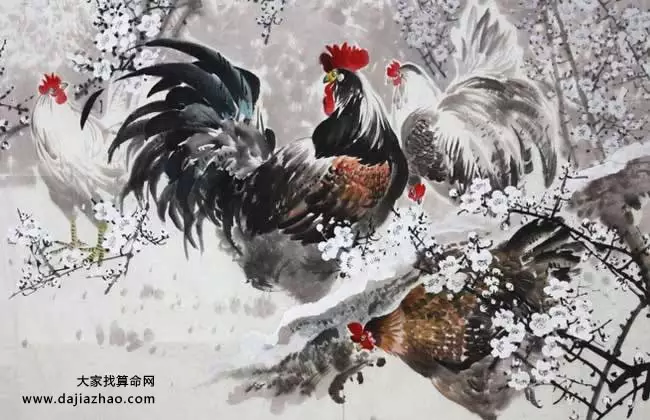 1、今年属鸡运势:年年属鸡人的全年运势