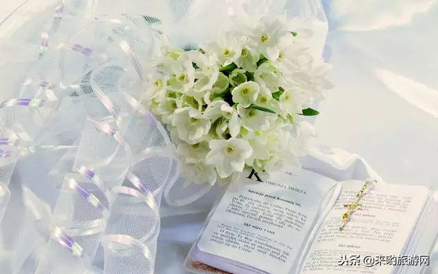 婚姻更佳的生肖配對圖，十二生肖婚姻配對大全