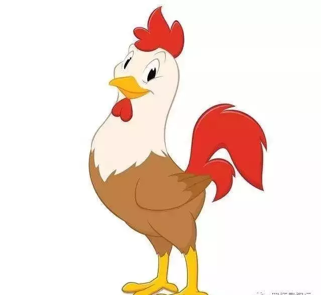 3、老公属猴老婆属鸡生个属相什么的孩子好？什么星座的好？谢谢