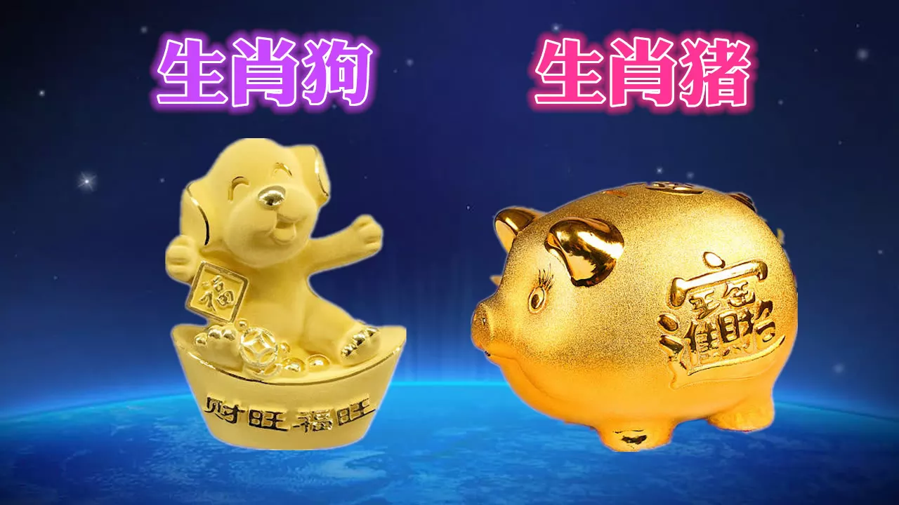 1、属猪的人狗年运势:属猪和属狗的运势如何