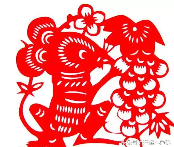 3、男鼠女兔适合做夫妻吗:属鼠男和属兔女做夫妻相配吗