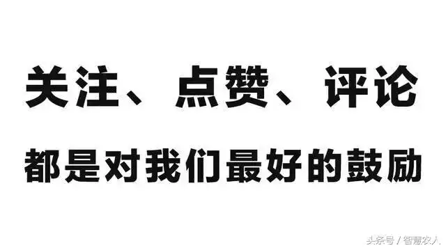男難逢初一女難逢十五，浦發銀行丁瑋簡歷