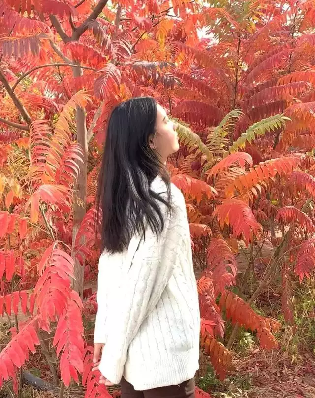 喜歡強勢女人的生肖男，哪些生肖男喜歡強勢的女友