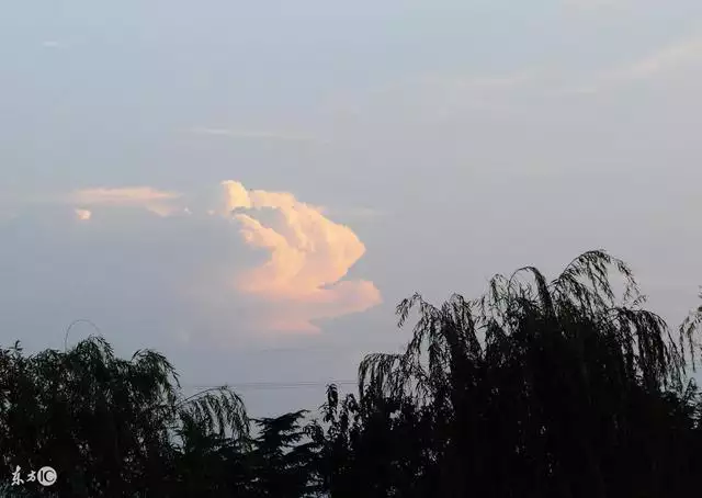 屬羊的男農曆幾月出生更好呢，屬蛇的幾月出生更好