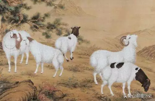 属虎的人命好吗，属虎的人命好不好