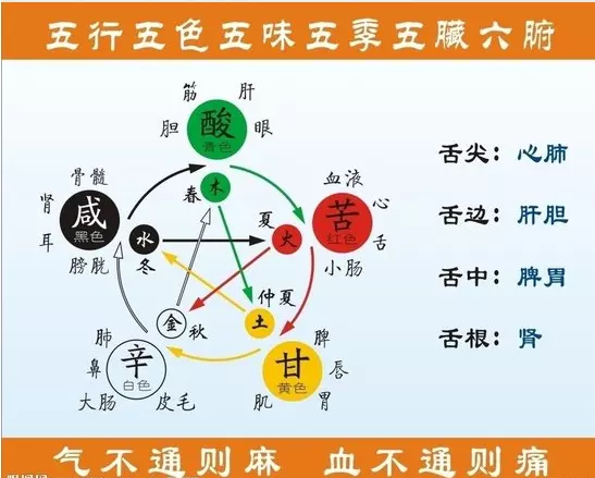 白色属什么五行