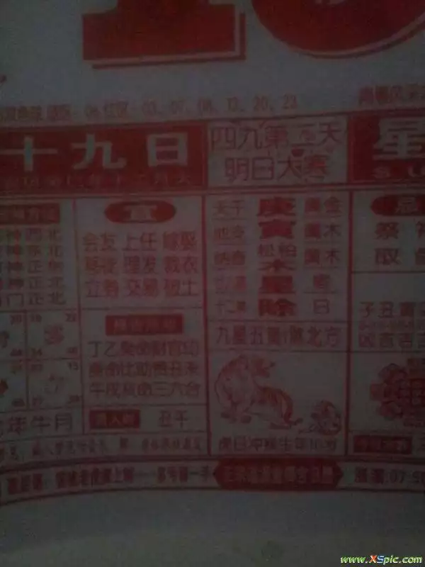 6、是什么生肖日:是什么生肖日？
