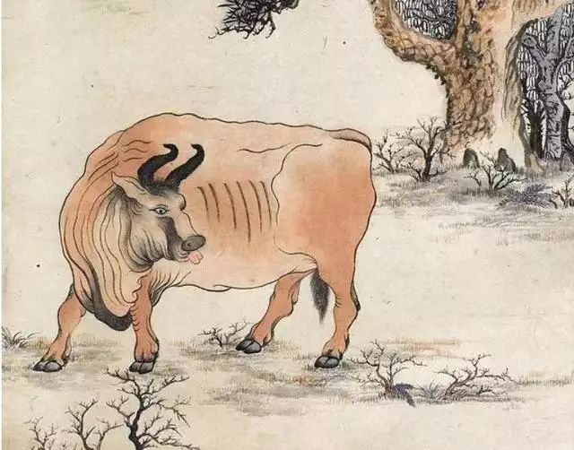 馬跟羊屬相合不合適，屬羊和屬馬的人合得來嗎