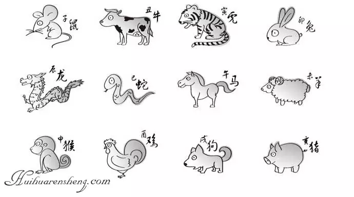 1、十二生肖可爱简笔画:十二生肖简笔画？
