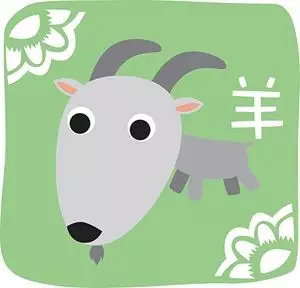 1、双子男属羊女适合什么属相:属羊双子座男生性格和什么女生最配。。速度求解