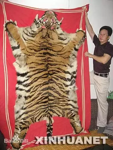 為什麼虎年不要孩子，虎年生孩子為什麼不吉利