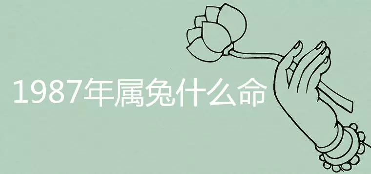 5、年属兔命中三劫:年属兔三年大运是