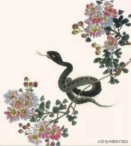 屬蛇的今年財運如何，屬蛇人今年的運氣財運
