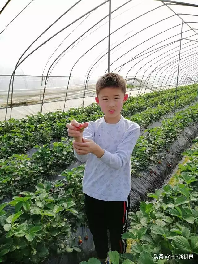 虎年2022生男生女表，2022年生虎宝宝几月份好