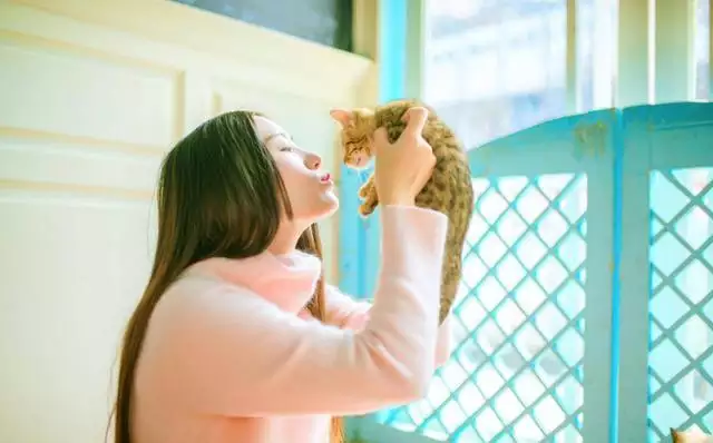 董易林每日生肖運勢,2022 董易林生肖運勢