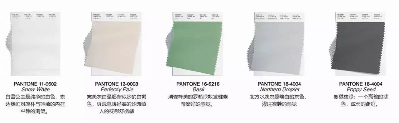 022最全生肖代表總匯圖片，2022年什麼命"