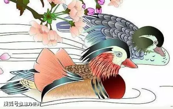 1、适合做夫妻的男女属相:什么属相的夫妻最配