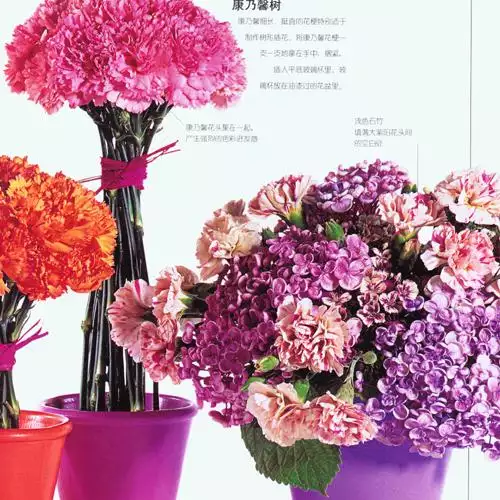 1、属猴的桃花运势如何:属猴今年桃花运怎么样