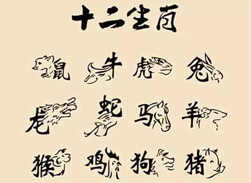 3、十二生肖婚姻搭配:屬豬屬雞婚姻生肖配對