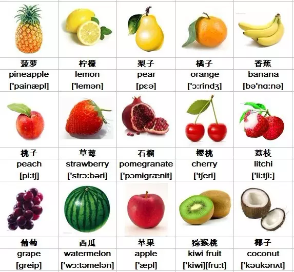 1、常見水果英語單詞大全個:全部水果英語單詞