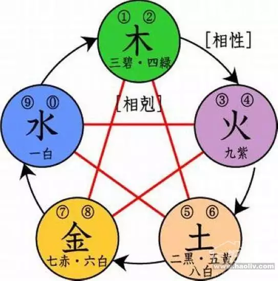 培训行业五行属什么