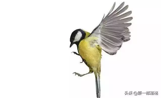 未來三個月運勢,最近三個月運勢免費算