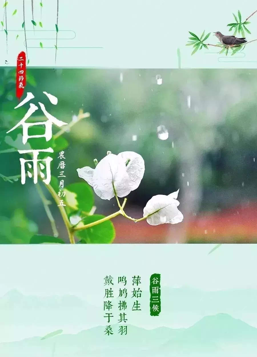 5、过了立春没过春节，算生肖时是哪一年的啊？我想问一下我到底是属什么的