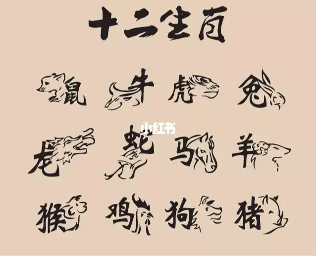 男兔女蛇婚姻是否相配，屬兔男和蛇女配婚姻好不好