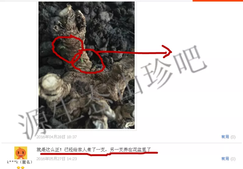 1、烧过的香根怎么处理:财神烧的香根应该怎么处理