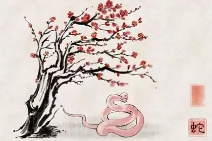 022年出生的人屬什麼，2022年出生的是屬什麼命"
