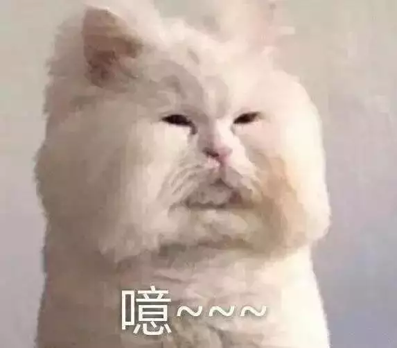 牛馬真的不能在一起嗎，牛和馬能不能在一起共事