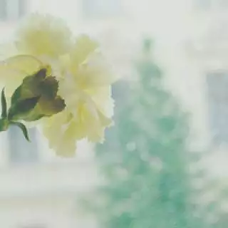 情侣网名唯美小清新