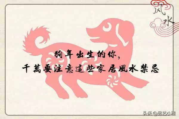 属狗的摆什么摆件更好，属狗的家里忌讳摆放什么