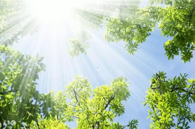 属虎和属羊的婚姻好吗,属虎的属羊结婚好不好