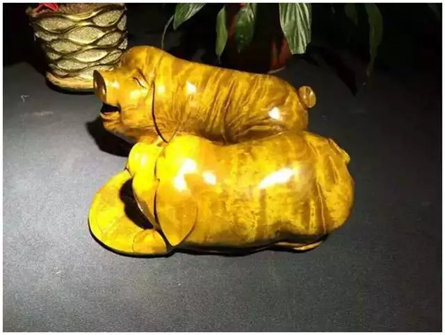 2、属龙今年打麻将运气:属龙的哪天打麻将能赢？
