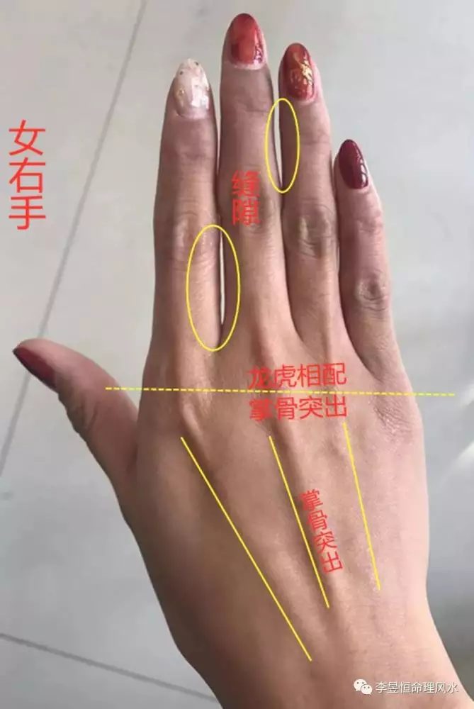2、龍虎屬相婚配:龍虎屬相的男女結婚有何不可