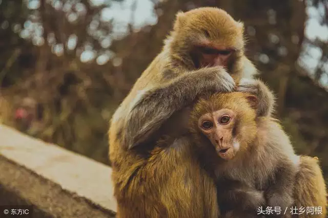 讓屬蛇人更愛你的秘訣，屬蛇男不主動