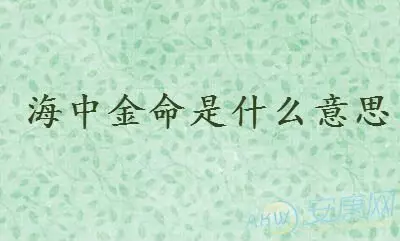 海中金命取名宜用字：海中金命用什么名字好